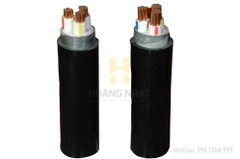 Cáp điện ngầm 3 pha 4 lõi ruột đồng cách điện XLPE giáp băng thép CXV/DSTA-3x50+1x35 (0.6/1kV)