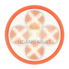Cáp chậm cháy 4 lõi bọc cách điện Cu/XLPE/Fr-PVC 4x50 (0.6/1kV)