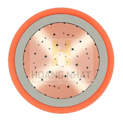 Cáp chậm cháy 1 lõi bọc cách điện Cu/XLPE/Fr-PVC 1x50 (0.6/1kV)