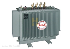 Máy biến áp điện lực ngâm dầu 3P 3D-802-H4NM1Y 800kVA Lioa