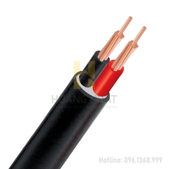 Cáp điện 2 lõi ruột đồng bọc PVC CVV-2x300 (0.6/1kV)