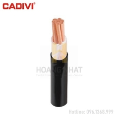 Cáp điện hạ thế 1 lõi cách điện XLPE bọc PVC CXV-35 (0.6/1kV)