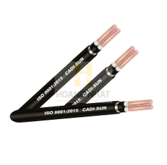 Cáp điện kế 2 lõi bọc cách điện CV/Muller - Cu/PVC/PVC/ATA/PVC 2x25 (0.6/1kV)