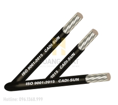 Cáp nhôm đơn bọc cách điện Al/PVC 1x50 (0.6/1kV)