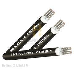 Cáp nhôm 2 lõi bọc cách điện Al/XLPE/PVC 2x50 (0.6/1kV)
