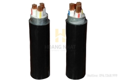 Cáp điện ngầm 3 pha 4 lõi ruột đồng bọc PVC giáp băng thép CVV/DSTA-3x6+1x4 (0.6/1kV)