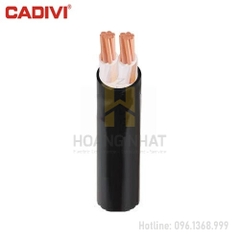 Cáp điện hạ thế 2 lõi cách điện XLPE bọc PVC CXV-2x35 (0.6/1kV)