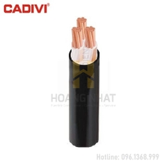 Cáp điện hạ thế 3 lõi cách điện XLPE bọc PVC CXV-3x10 (0.6/1kV)