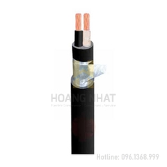 Cáp điện kế Muller 2 lõi ruột đồng bọc PVC DK-CVV-2x35 (0.6/1kV)