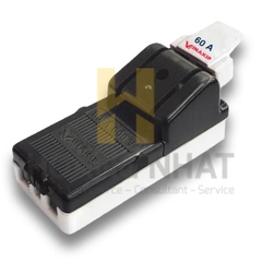 Cầu dao 1 pha 2 cực 30A
