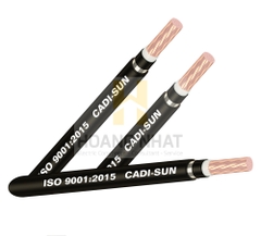 Cáp đồng ngầm 1 lõi bọc cách điện Cu/XLPE/PVC/DATA/PVC 1x25 (0.6/1kV)