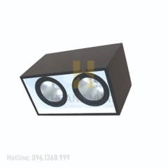 Đèn LED downlight  gắn nối chiếu sâu 2x30W DFB2301 Duhal