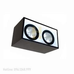 Đèn LED downlight  gắn nối chiếu sâu 2x30W DFB2301 Duhal