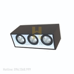 Đèn LED downlight  gắn nối chiếu sâu 3x30W DFB3301 Duhal