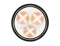 Cáp đồng ngầm 3 lõi bọc cách điện Cu/XLPE/PVC/DSTA/PVC 3x10 (0.6/1kV)