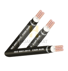 Cáp đồng ngầm 2 lõi bọc cách điện Cu/XLPE/PVC/DSTA/PVC 2x35 (0.6/1kV)