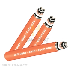 Cáp ngầm trung thế 3 lõi Cu(Al)/XLPE/CTS/PVC/DSTA/PVC-W 3x300- 20/35(40.5)kV loại màn chắn băng đồng, giáp băng thép