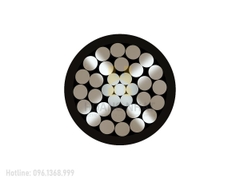 Cáp nhôm lõi thép bọc cách điện As/PVC 300/39 (0.6/1kV)