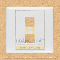 Mặt 2 lỗ S9862/X Sino