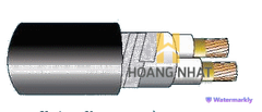 Cáp chống bén cháy theo IEC 60332-3-24, 0.6/1(1.2)kV, ruột đồng, 2 lõi, cách điện XLPE, không giáp