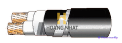 Cáp chống bén cháy theo IEC 60332-3-24, 0.6/1(1.2)kV, ruột đồng, 2 lõi, cách điện XLPE, giáp sợi thép mạ kẽm (hoặc giáp 2 lớp băng thép)