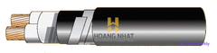 Cáp chống bén cháy theo IEC 60332-3-22, 0.6/1(1.2)kV, ruột đồng, 2 lõi, cách điện XLPE, giáp sợi thép mạ kẽm (hoặc giáp 2 lớp băng thép)