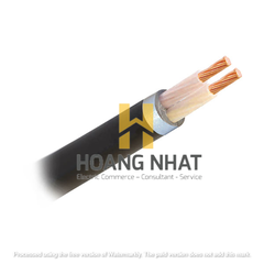 Cáp điện lực hạ thế Cu/XLPE/PVC 2x1,5 Taya
