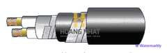 Cáp chống cháy theo IEC 60331-21, 0.6/1(1.2)kV, ruột đồng, 2 lõi, cách điện XLPE, giáp sợi thép mạ kẽm (hoặc giáp hai lớp băng thép)
