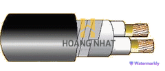 Cáp chống cháy theo BS 6387, 0.6/1(1.2)kV, ruột đồng, 2 lõi, cách điện XLPE, không giáp