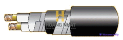 Cáp chống cháy theo BS 6387, 0.6/1(1.2)kV, ruột đồng, 2 lõi, cách điện XLPE, giáp sợi thép mạ kẽm (hoặc giáp hai lớp băng thép)