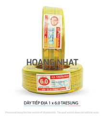 Dây tiếp địa Taesung 1×6.0
