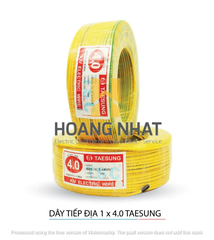 Dây tiếp địa Taesung 1×4.0