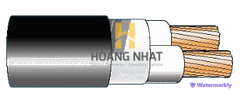 Cáp chống bén cháy theo IEC 60332-1, 0.6/1(1.2)kV, ruột đồng, 2 lõi, cách điện XLPE, không giáp