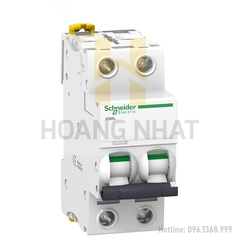 Aptomat iC60L MCB A9F94232 2P 32A 15kA Acti9