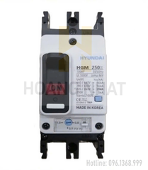 Aptomat MCCB HGM250S-F 2P 225A 65kA Hyundai