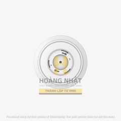 Đèn LED ốp trần đế nhôm LN26 300/25W Rạng Đông