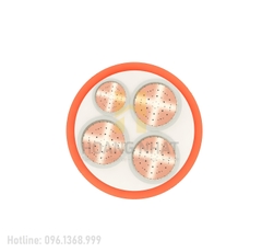 Cáp chống cháy (3+1) lõi bọc cách điện Cu/Mica/XLPE/Fr-PVC 3x25+1x16 (0.6/1kV)