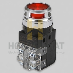 Nút nhấn  nhả có đèn D30 đỏ Hanyoung 100-240VAC