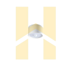 Đèn spotlight CUS20