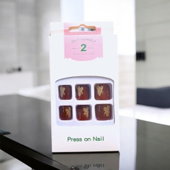 Bộ 24 nail chân giả