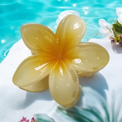 T7.1.Kẹp càng cua nhựa trong hoa sứ 8cm
