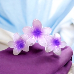 T7.2.Kẹp hoa sứ 3 bông