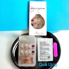 Set 24 móng đính đá kiểu keo