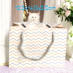 Túi giấy đựng quà