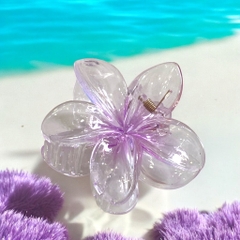 T7.1.Kẹp càng cua nhựa trong hoa sứ 8cm