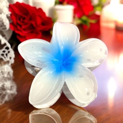 Kẹp hoa sứ trắng nhị xanh 8cm