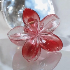 T7.1.Kẹp càng cua nhựa trong hoa sứ 8cm