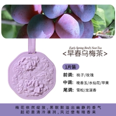Sáp thơm xe, tủ quần áo dạng thạch cao hình hoa CLTI