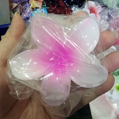 T7.1.Kẹp càng cua nhựa trong hoa sứ 8cm