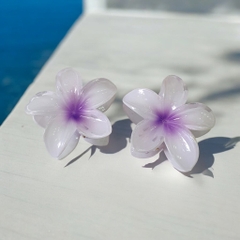 T7.1.Kẹp càng cua nhựa trong hoa sứ 8cm